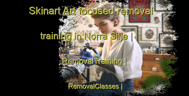 Skinart Art-focused removal training in Norra Silje | RemovalTraining | RemovalClasses | SkinartTraining-Sweden